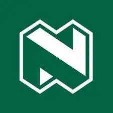 nedbank logo